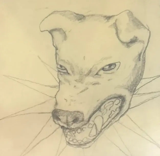 K9